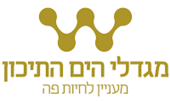 מגדלי הים התיכון - טיולים בארץ לגיל השלישי