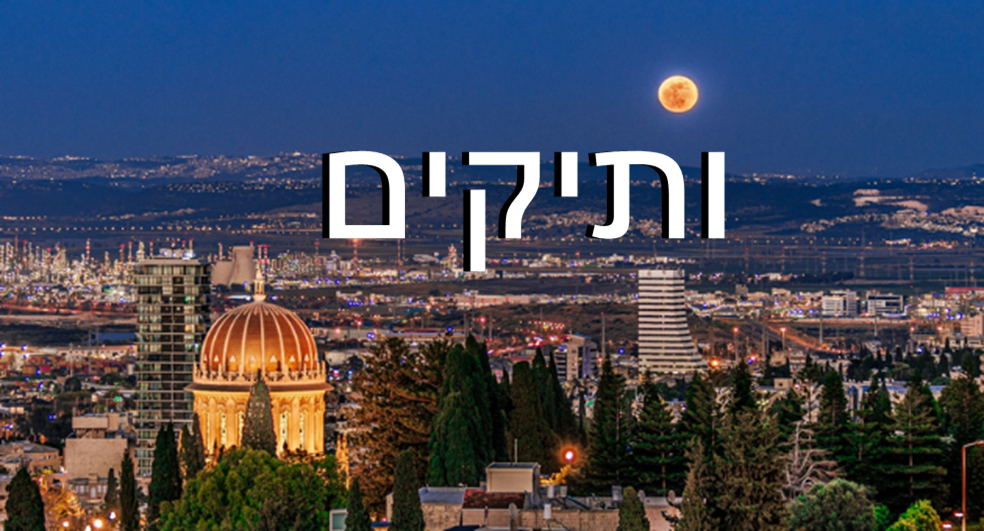 עיריית חיפה