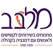 מְלַבֵּב סיעוד